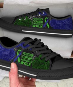 Pseudotumor Cerebri Shoes Awareness Walk Low Top Shoes Canvas Shoes